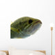 Largemouth Bass Water Wall Decal