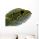 Largemouth Bass Water Wall Decal