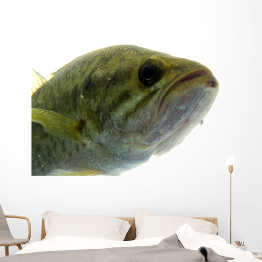 Largemouth Bass Water Wall Decal