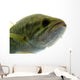 Largemouth Bass Water Wall Decal