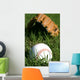 Baseball and Glove Grass Wall Decal