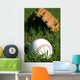 Baseball and Glove Grass Wall Decal