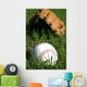Baseball and Glove Grass Wall Decal