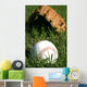 Baseball and Glove Grass Wall Decal