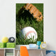 Baseball and Glove Grass Wall Decal