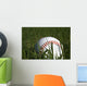 Baseball and Grass Wall Decal