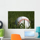 Baseball and Grass Wall Decal