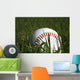 Baseball and Grass Wall Decal