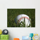 Baseball and Grass Wall Decal