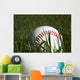 Baseball and Grass Wall Decal