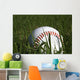 Baseball and Grass Wall Decal