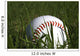 Baseball and Grass Wall Decal