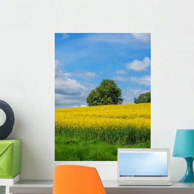 Meadow with Yellow Flowers Wall Decal shown on a wall