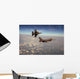 Fighter Breaks with Flares Wall Decal