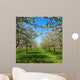 Apple Flower Spring C Wall Decal