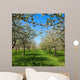 Apple Flower Spring C Wall Decal