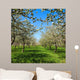 Apple Flower Spring C Wall Decal