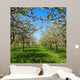 Apple Flower Spring C Wall Decal