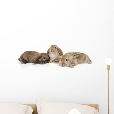 Bunny Wall Decal shown on a wall