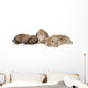 Bunny Wall Decal