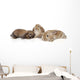 Bunny Wall Decal