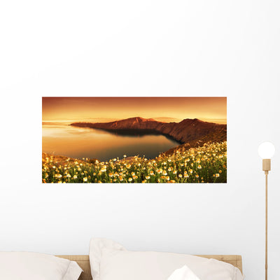 Awaken Wall Decal shown on a wall