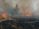 Fire 7 Wall Decal
