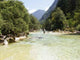 Senior Angler Walking through Wall Decal