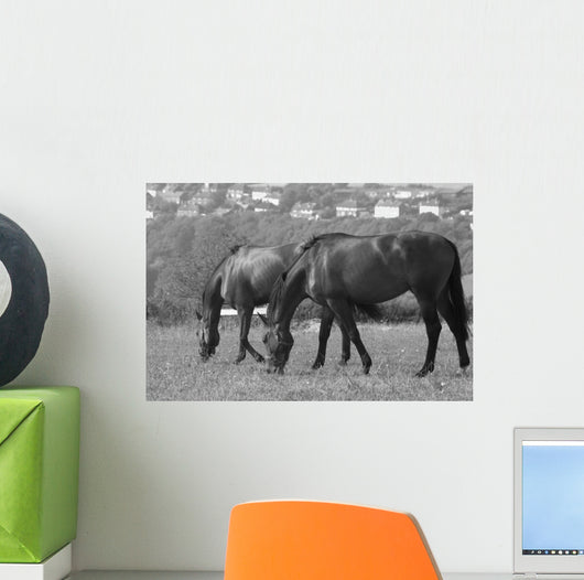 Horses South Downs Sussex Wall Decal