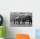 Horses South Downs Sussex Wall Decal