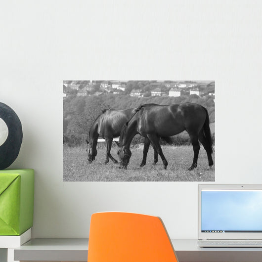 Horses South Downs Sussex Wall Decal