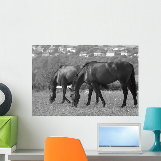 Horses South Downs Sussex Wall Decal