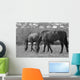 Horses South Downs Sussex Wall Decal