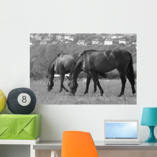 Horses South Downs Sussex Wall Decal