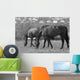 Horses South Downs Sussex Wall Decal