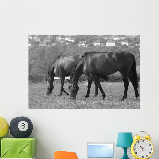 Horses South Downs Sussex Wall Decal