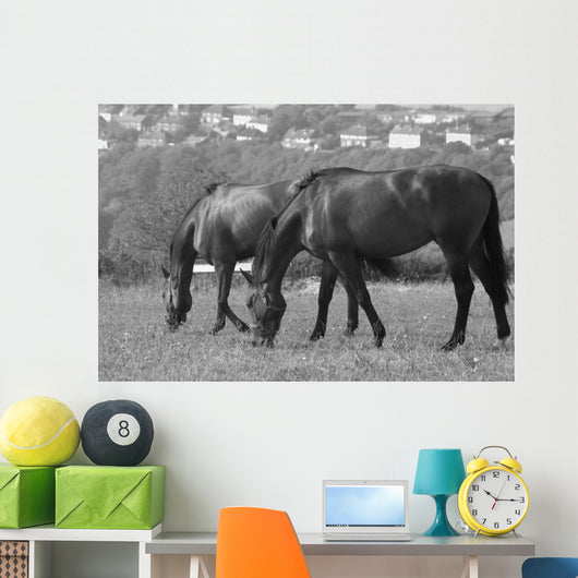 Horses South Downs Sussex Wall Decal