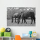 Horses South Downs Sussex Wall Decal