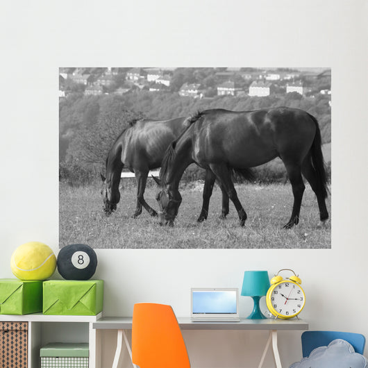 Horses South Downs Sussex Wall Decal