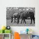 Horses South Downs Sussex Wall Decal