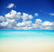 Tropical Sea Wall Decal