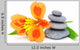 Lily Flower and Pebble Wall Decal