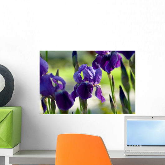 Spring Irises Garden Wall Decal