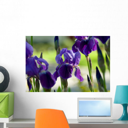 Spring Irises Garden Wall Decal
