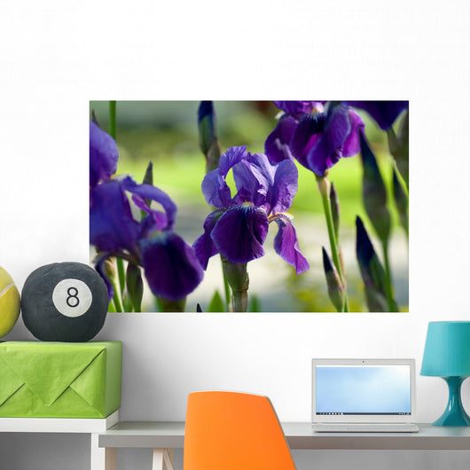 Spring Irises Garden Wall Decal