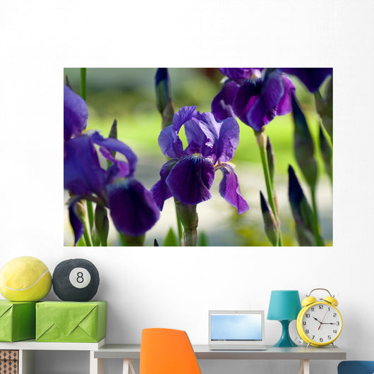 Spring Irises Garden Wall Decal
