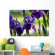 Spring Irises Garden Wall Decal