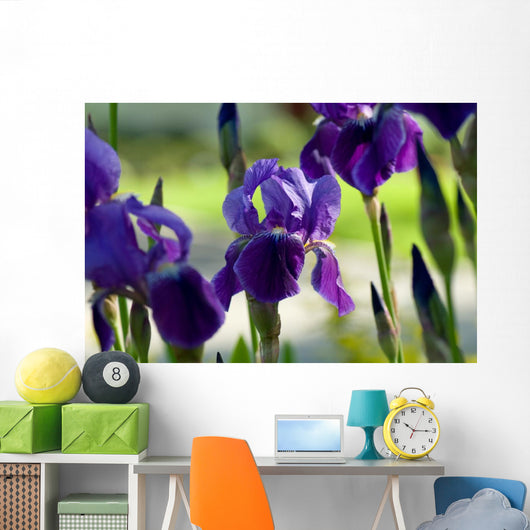 Spring Irises Garden Wall Decal
