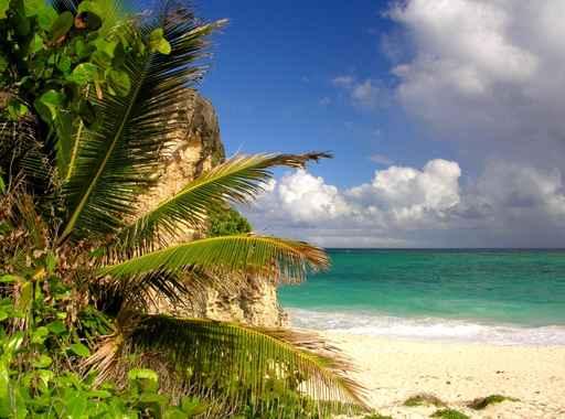 Robinson Feeling Beach Wall Decal