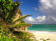 Robinson Feeling Beach Wall Decal